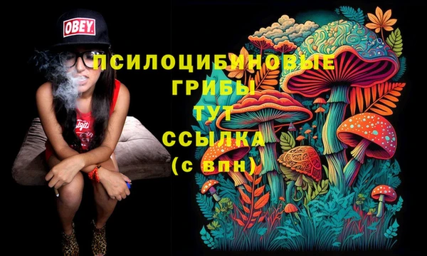 бошки Бронницы