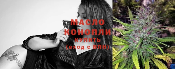 бошки Бронницы